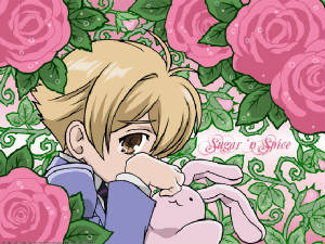 ouranhostclubwallpaperhoney-sempai.jpg